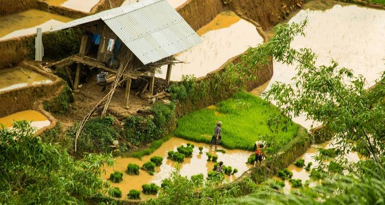 Capture the vibrant beauty of Vietnam with visa-free entry for Luxembourgish travelers