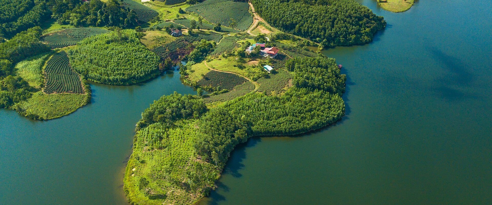 Tea Islands in Thanh Chuong Region, Nghe An