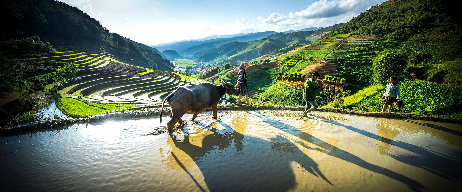 Serene Sapa valley at sunset on a Sapa Travel banner by Legend Travel Group.