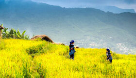 Photograph the festive spirit of Vietnam’s traditions