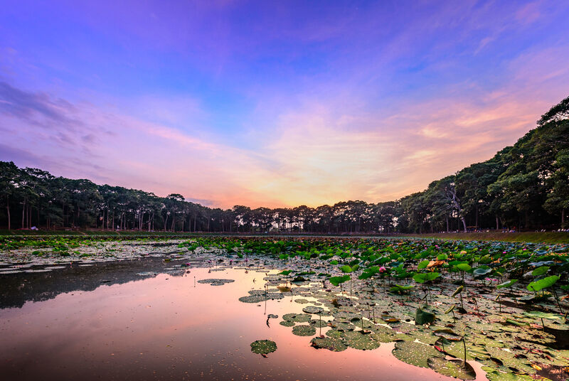 Seize the cultural essence of rural Vietnam