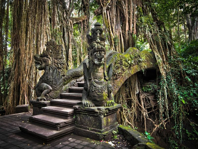 Capture the authentic charm of Indonesia’s cultural scene