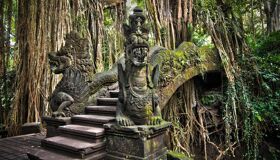 Bali Monkey Forest