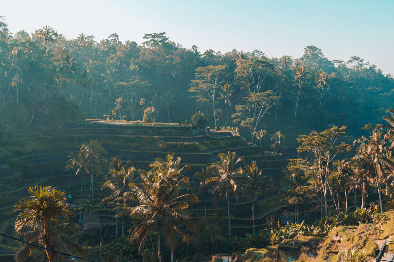 Capture the stunning beauty of Bali’s cultural landmarks