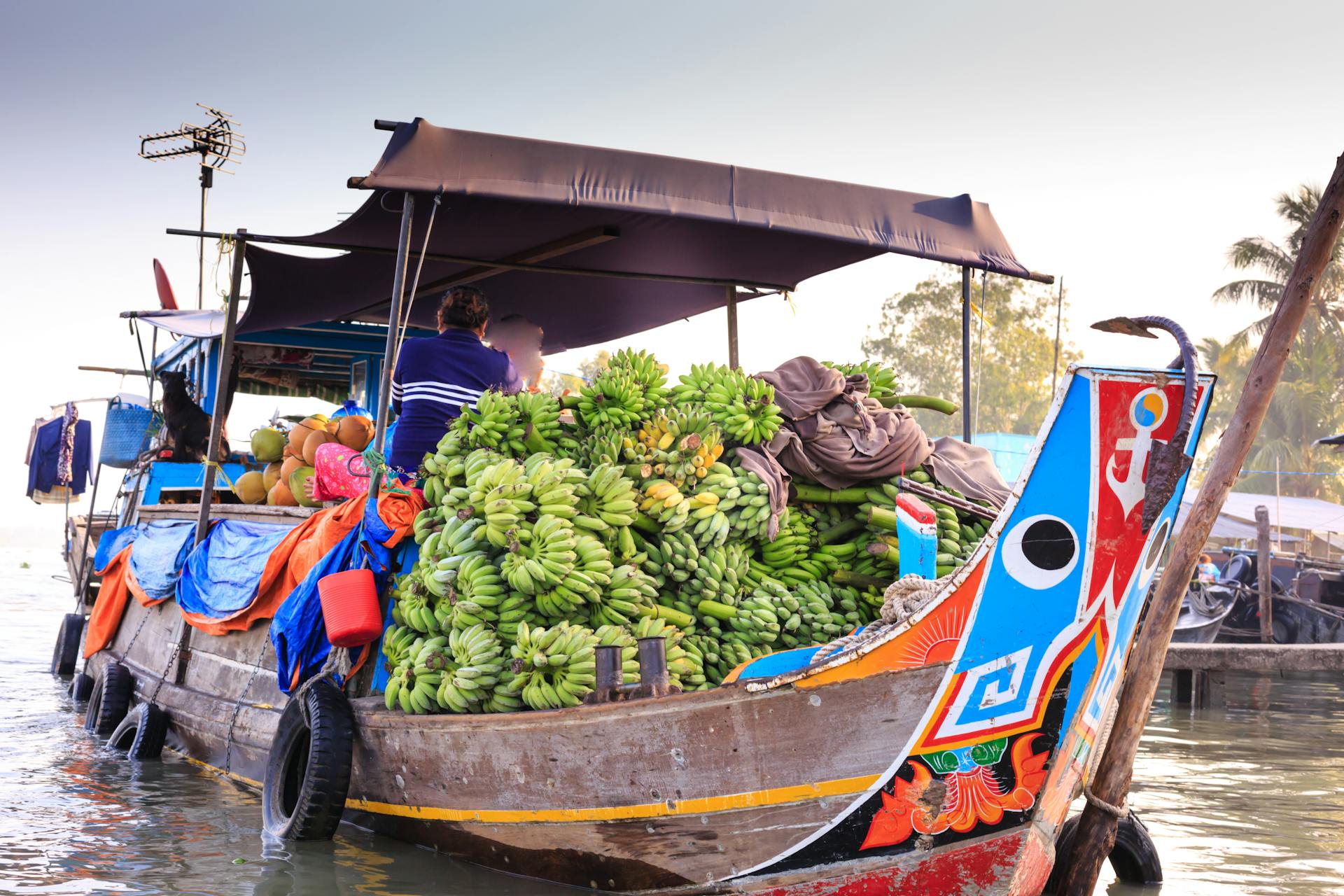 Discover colourful river trade on the Mekong Delta”