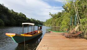 Cardamom Mountain Boat Tour