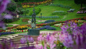 Chiang Rai Doi Tung  Flower Garden