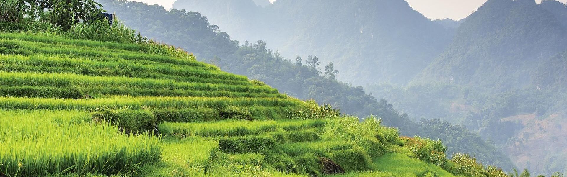 Pu Luong Nature Reserve