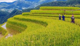 Tranquil Sapa mountains at dawn for a Sapa Tours banner by Legend Travel Group.