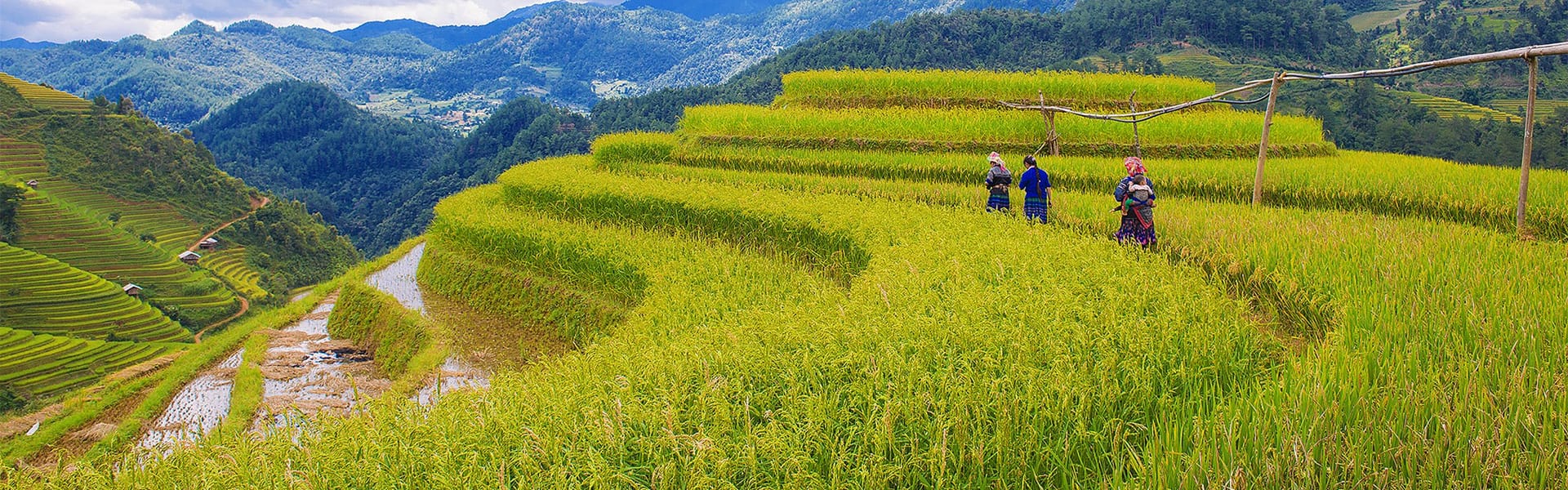 Tranquil Sapa mountains at dawn for a Sapa Tours banner by Legend Travel Group.