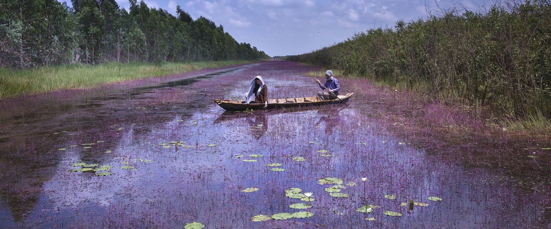 Boating on the Lotus Lake in Dong Thap Muoi