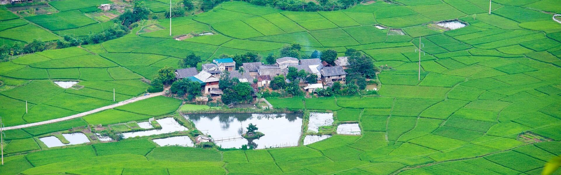 Lush Mai Chau rice fields in Vietnam on a scenic Mai Chau Travel banner by Legend Travel Group.
