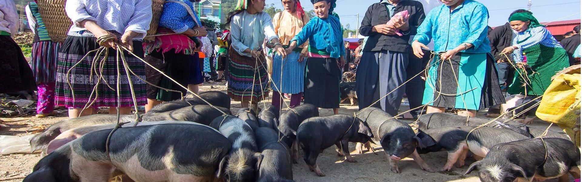 Weekend Market in Meo Vac - Ha Giang Region