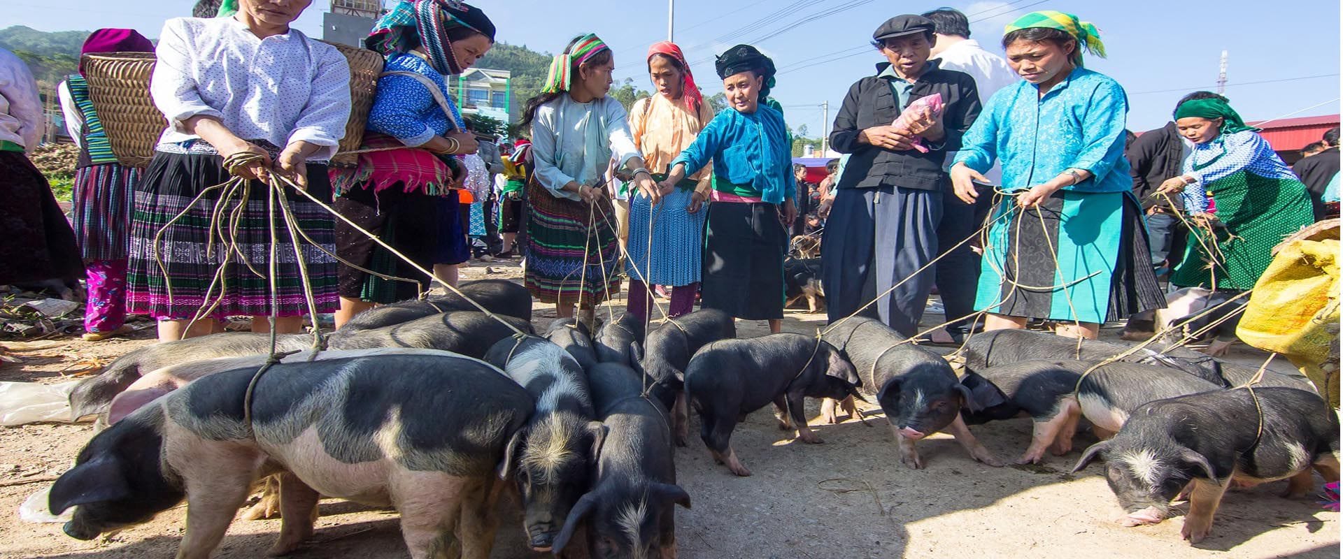 Meo Vac in Ha Giang, Tuyen Quang Province