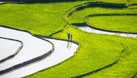 Panoramic view of Lao Chai’s Sapa scenery for a scenic Lao Chai Tours banner by Legend Travel Group.