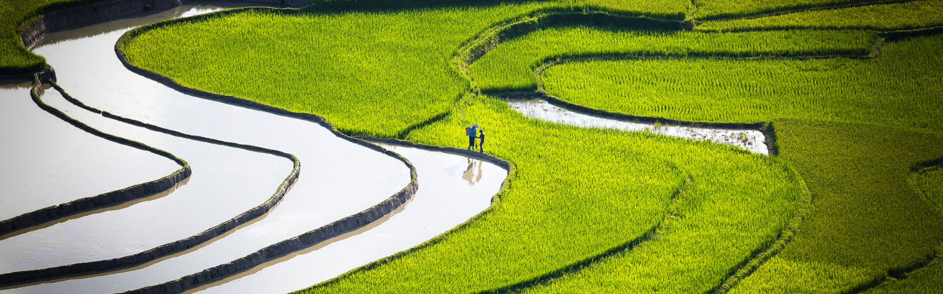 Panoramic view of Lao Chai’s Sapa scenery for a scenic Lao Chai Tours banner by Legend Travel Group.