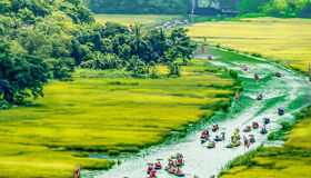 Rice fields and karst hills during a guided Tam Coc Tours experience with Legend Travel Group in Ninh Binh.