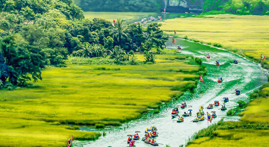 Rice fields and karst hills during a guided Tam Coc Tours experience with Legend Travel Group in Ninh Binh.