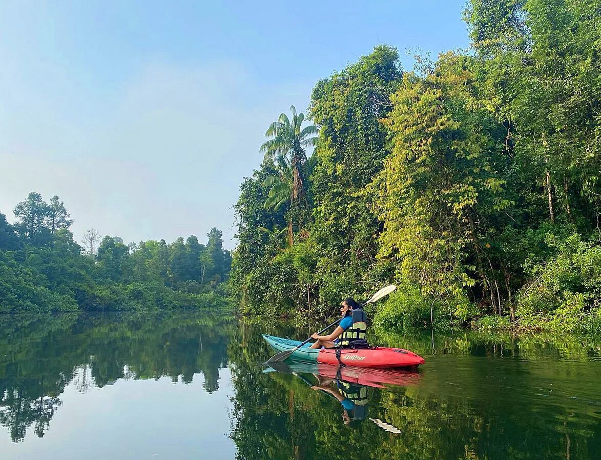 Begin your exploration with Cardamom’s tranquil ambiance