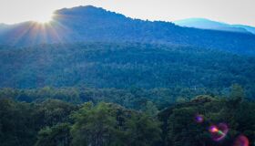 Chiang Khong Forest