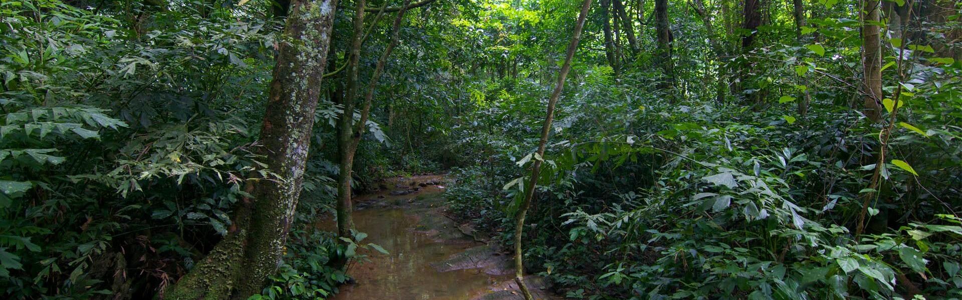Cuc Phuong Național Park în Ninh Binh Province