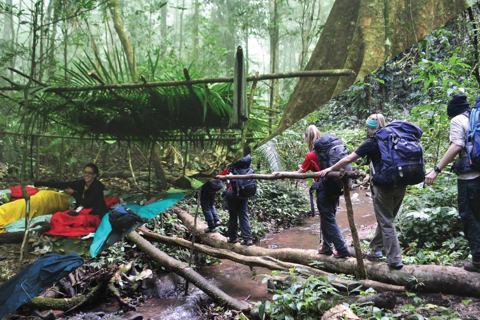 Luang Namtha Trekking to the Jungle