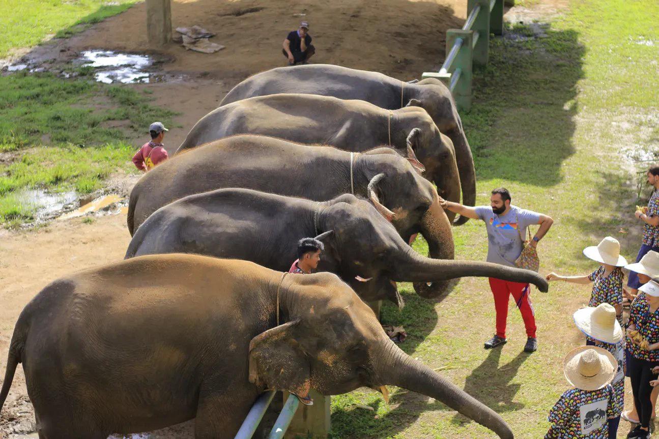 Thailand’s nature