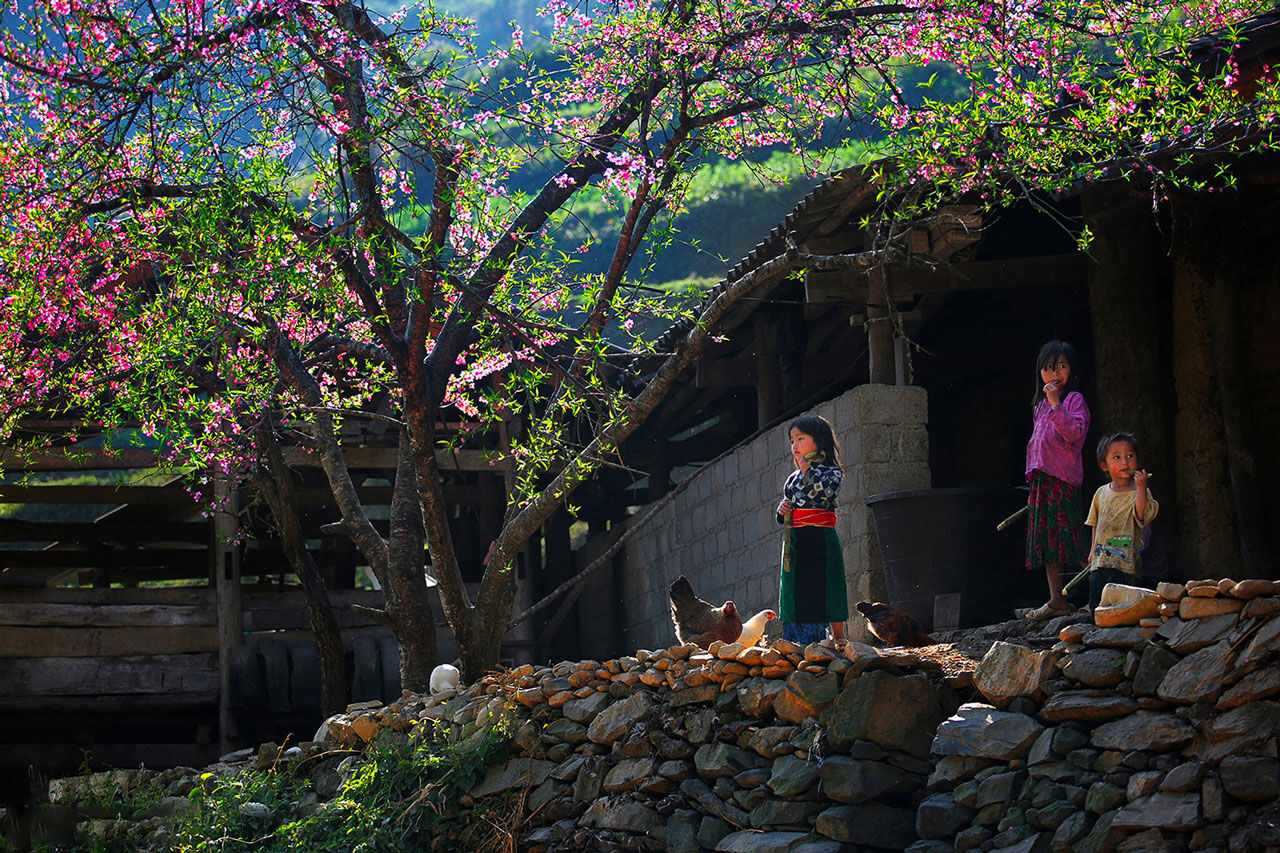 Photograph the vibrant spirit of Ha Giang’s culture