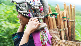 Muang Sing Ethnic Red Dzao Women