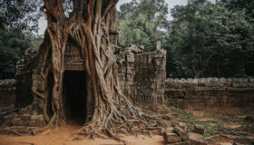 Phnom Kulen Temple Gate