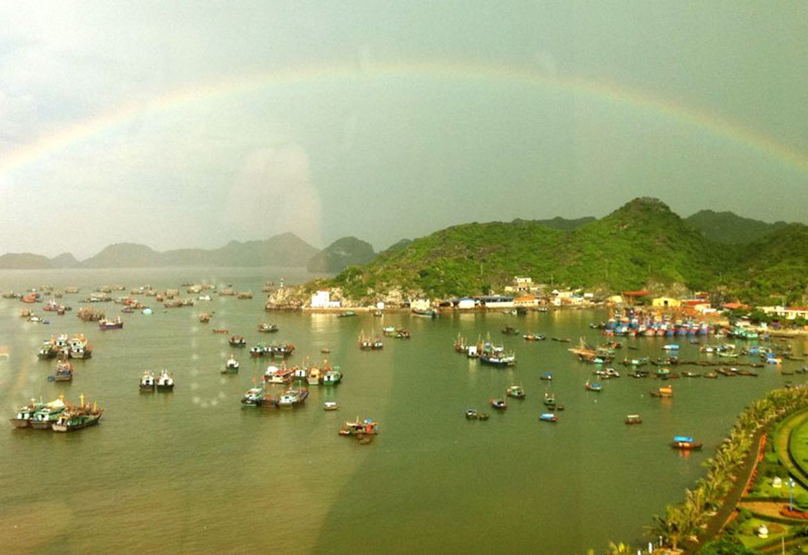 Dive into the biodiverse charm of Cat Ba Travel