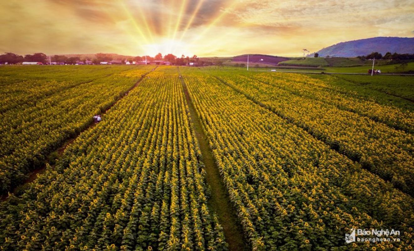 Dive into the wild beauty of Nghe An Travel