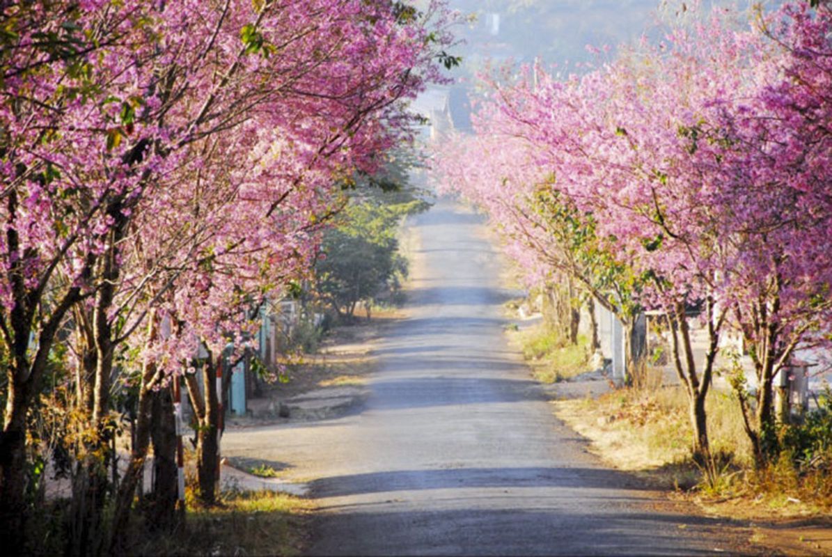 Capture the lush beauty of Buon Ma Thuot’s eco-gem