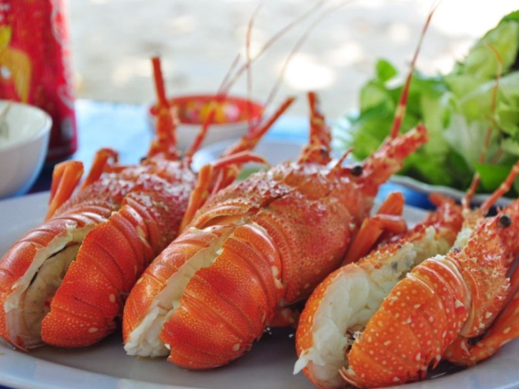 Binh Ba Lobster, Nha Trang