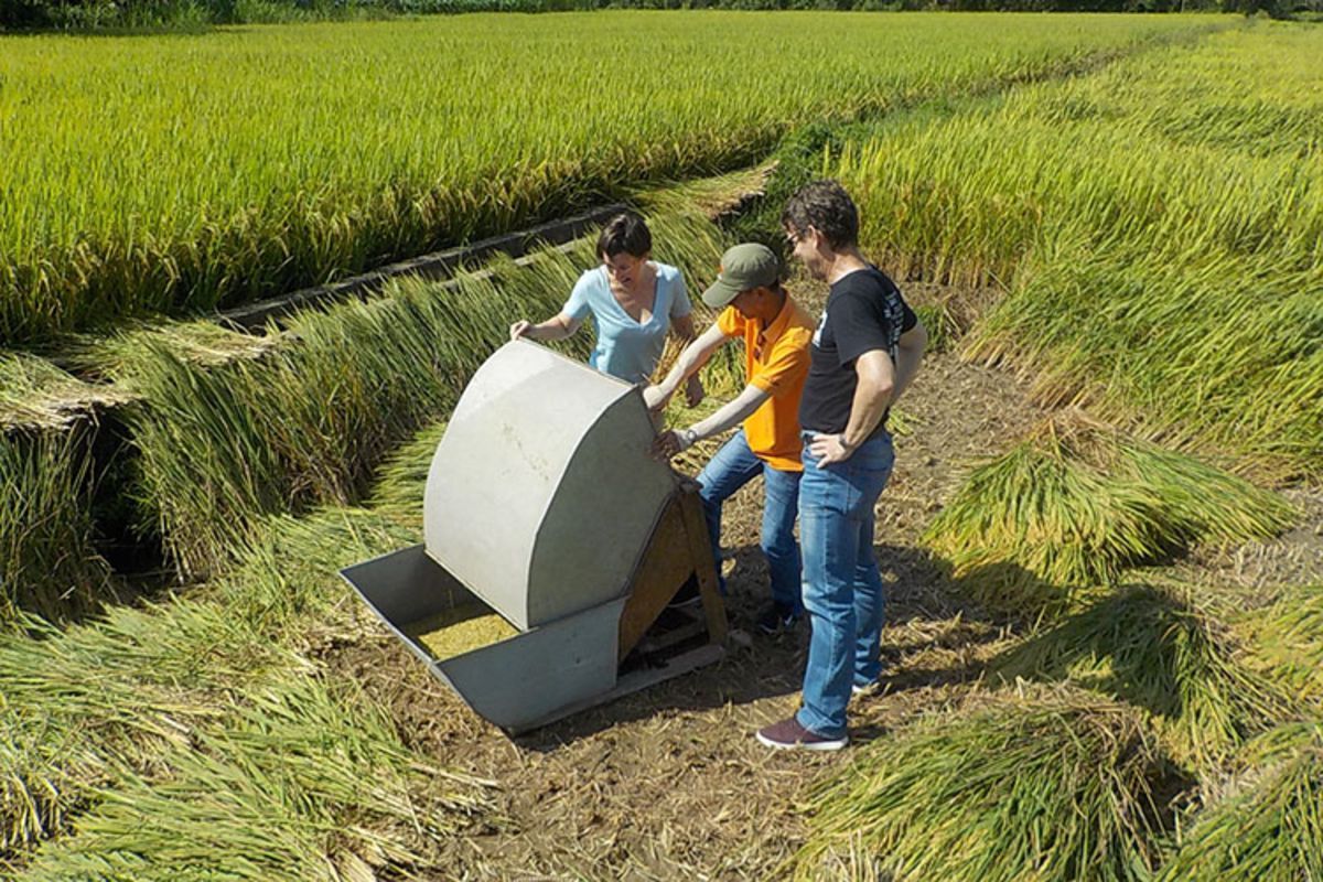 Learn Da Nang’s cultural legacy with expert insights