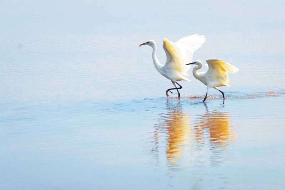 Photograph the relaxing allure of Ninh Binh’s coastal retreat