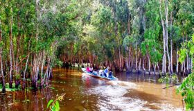 Dive into the vibrant wildlife of An Giang Travel