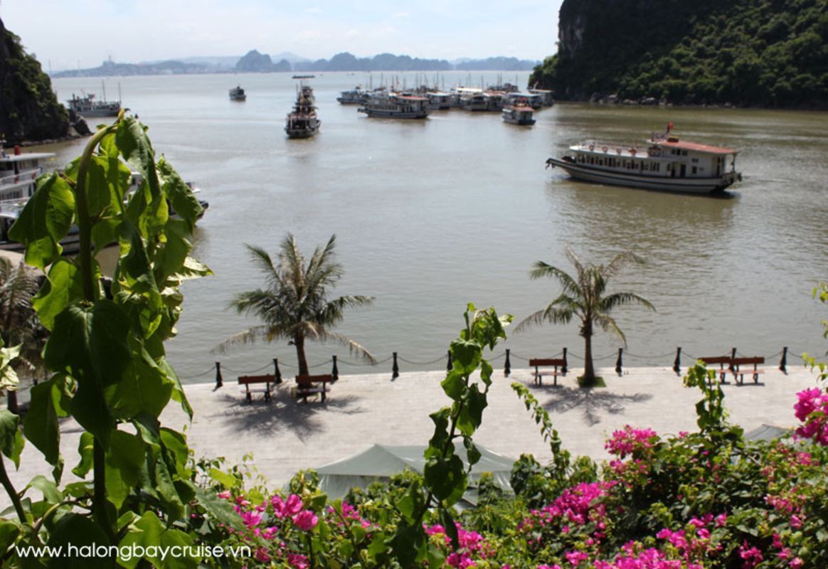 Experience Bai Tu Long Tours with sustainable adventures