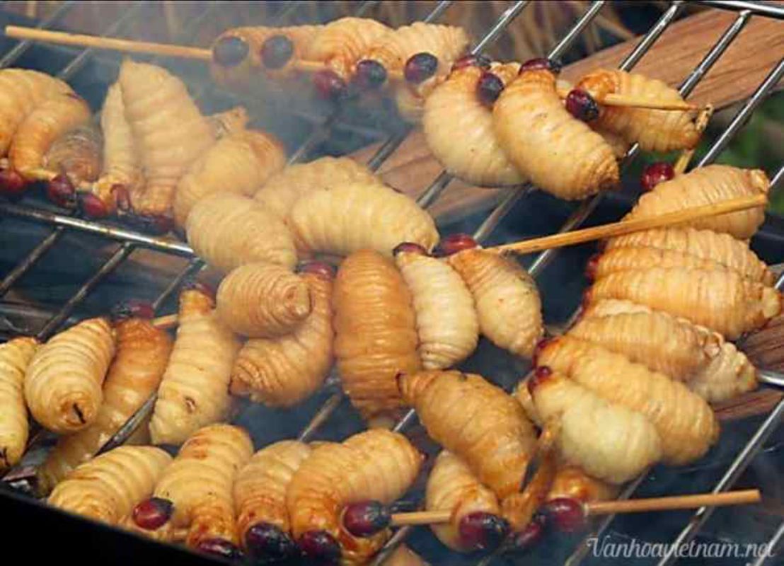 Cha La Worms - "Đuông Chà Là"