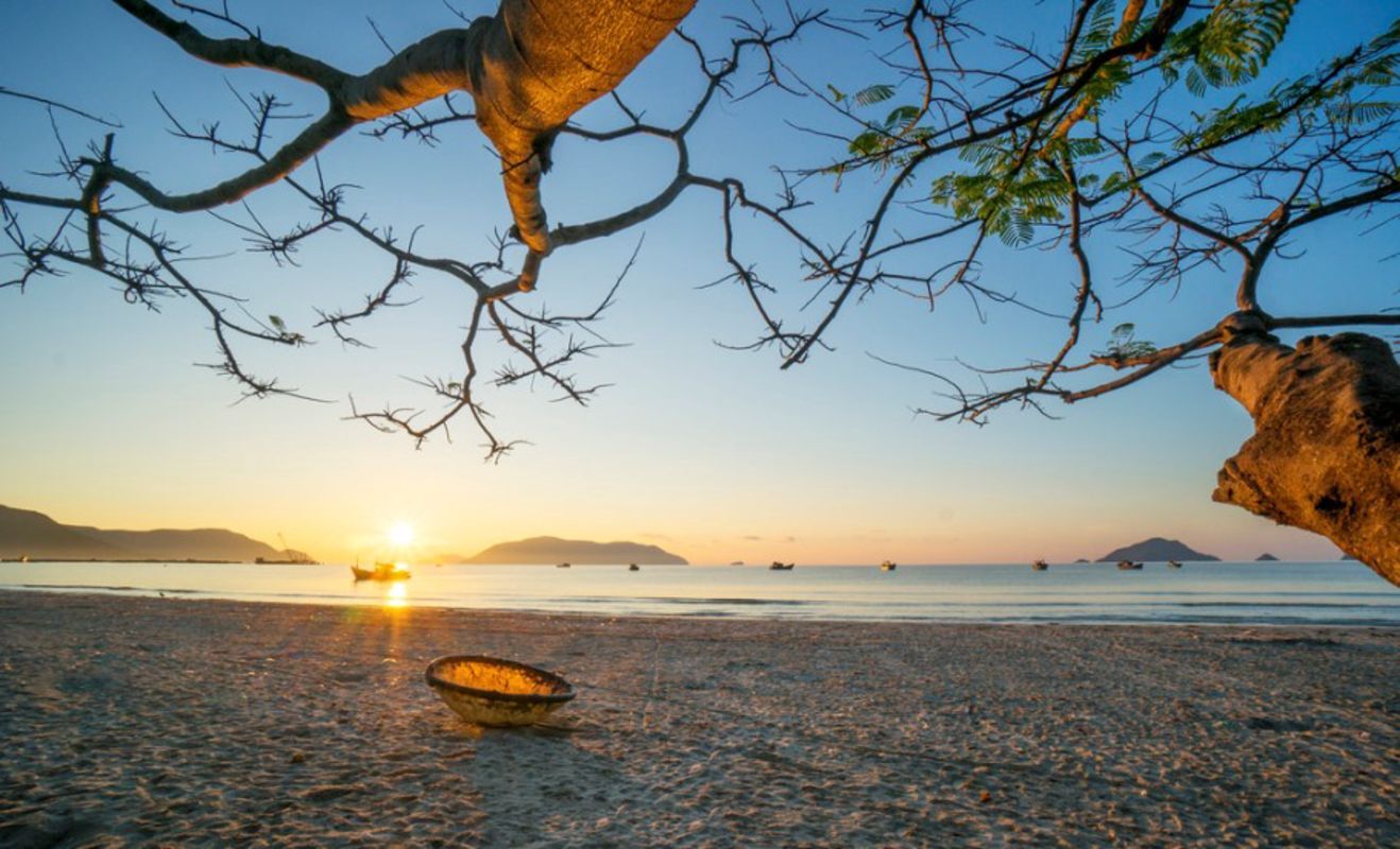 Photograph the vibrant allure of Con Dao’s marine life