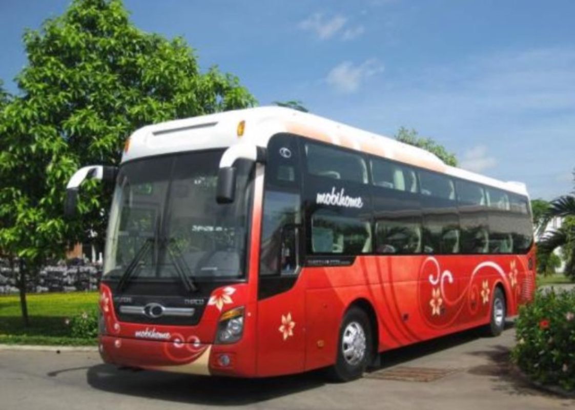 Capture the sustainable charm of Thai Binh’s ecotourism