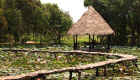 Dive into the historic charm of Xeo Quyt Travel