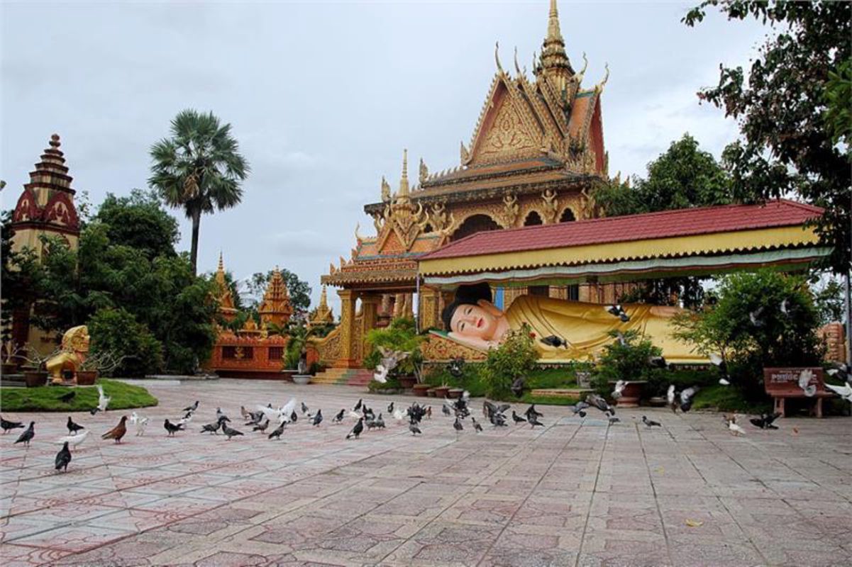 Dive into the serene charm of Ca Mau Travel