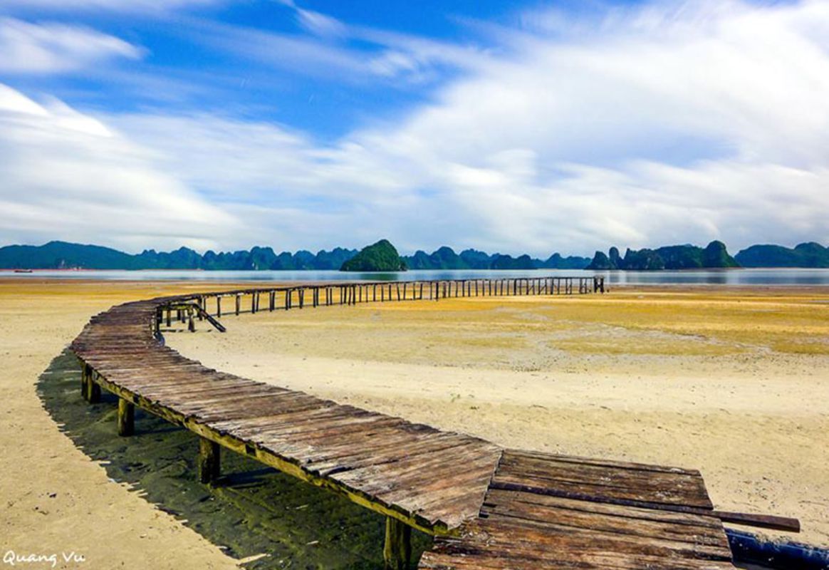 Capture the iconic beauty of Halong Bay’s UNESCO gem