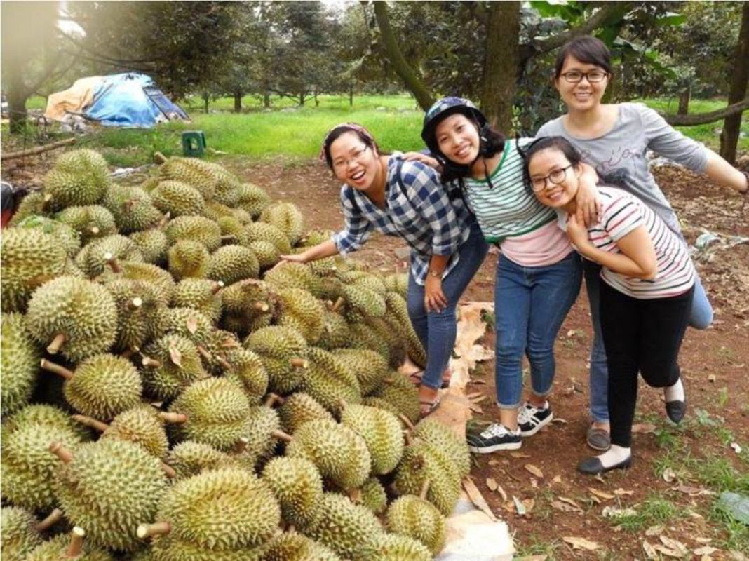 Embrace the vibrant spirit of Tien Giang Travel adventures