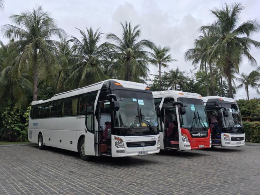 Experience Dong Thap Tours with sustainable adventures
