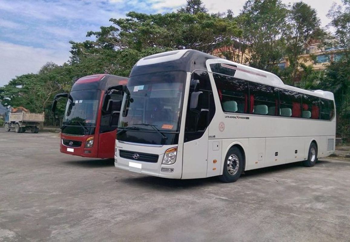 Dive into the tranquil charm of Dong Thap Travel