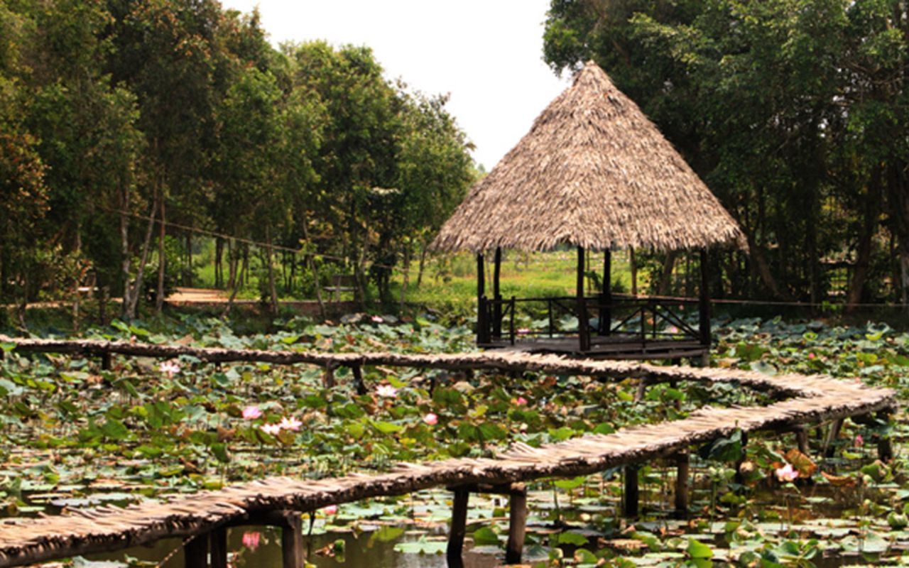 Capture the serene beauty of Xeo Quyt’s ecological gem