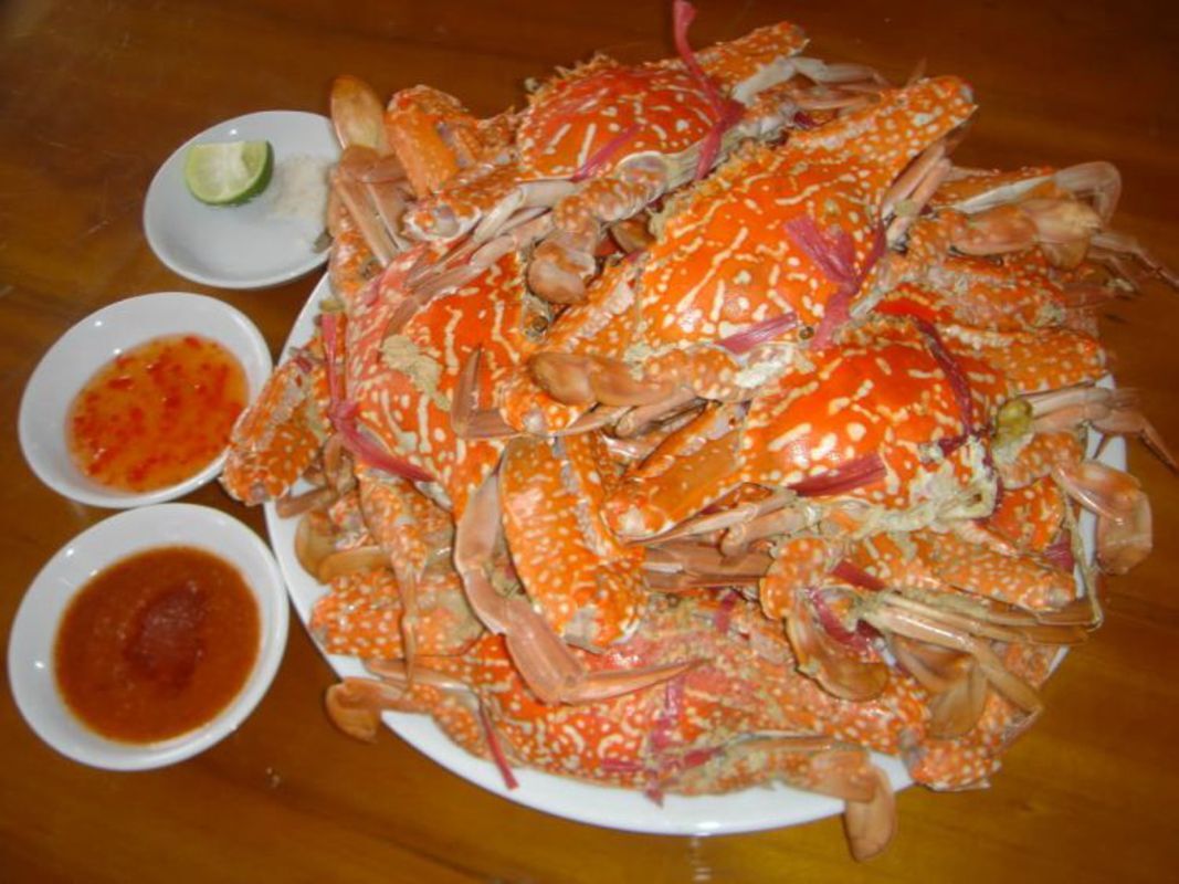 Cua Lo Crabs or Flower Crabs - Start your Nghe An Travel with serene vistas