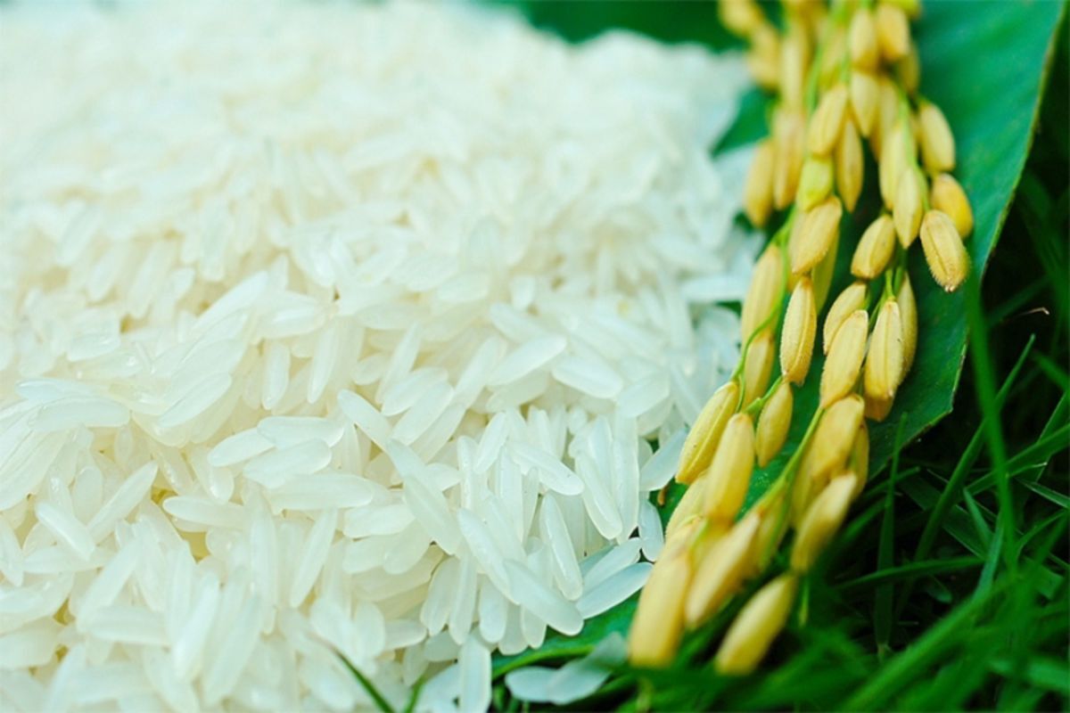 Dive into the authentic flavors of Long An Travel